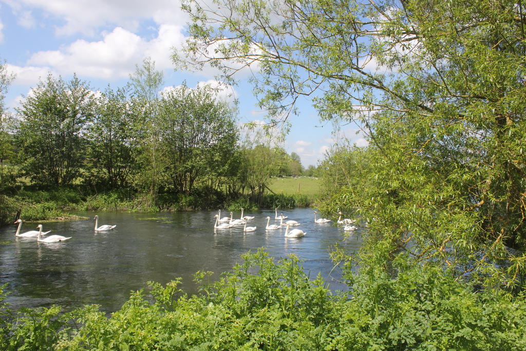 The Swan At Stoford Hotell Stapleford  Exteriör bild